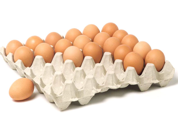 paper egg trays