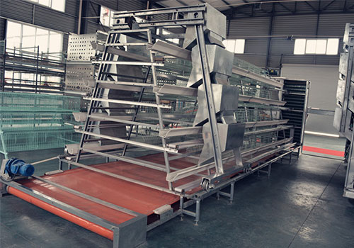 A whole set of our chicken cage and automatic manure removal system