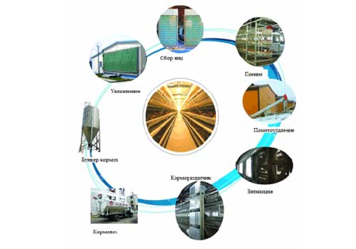 automation equipments