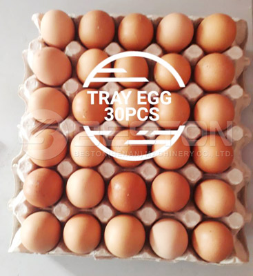 30Holes-Egg-Trays
