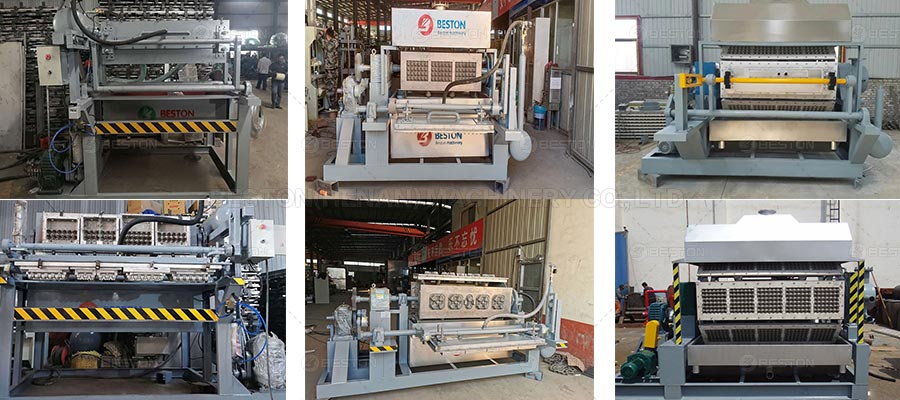 la serie de máquina para hacer bandejas de huevos -Beston Group