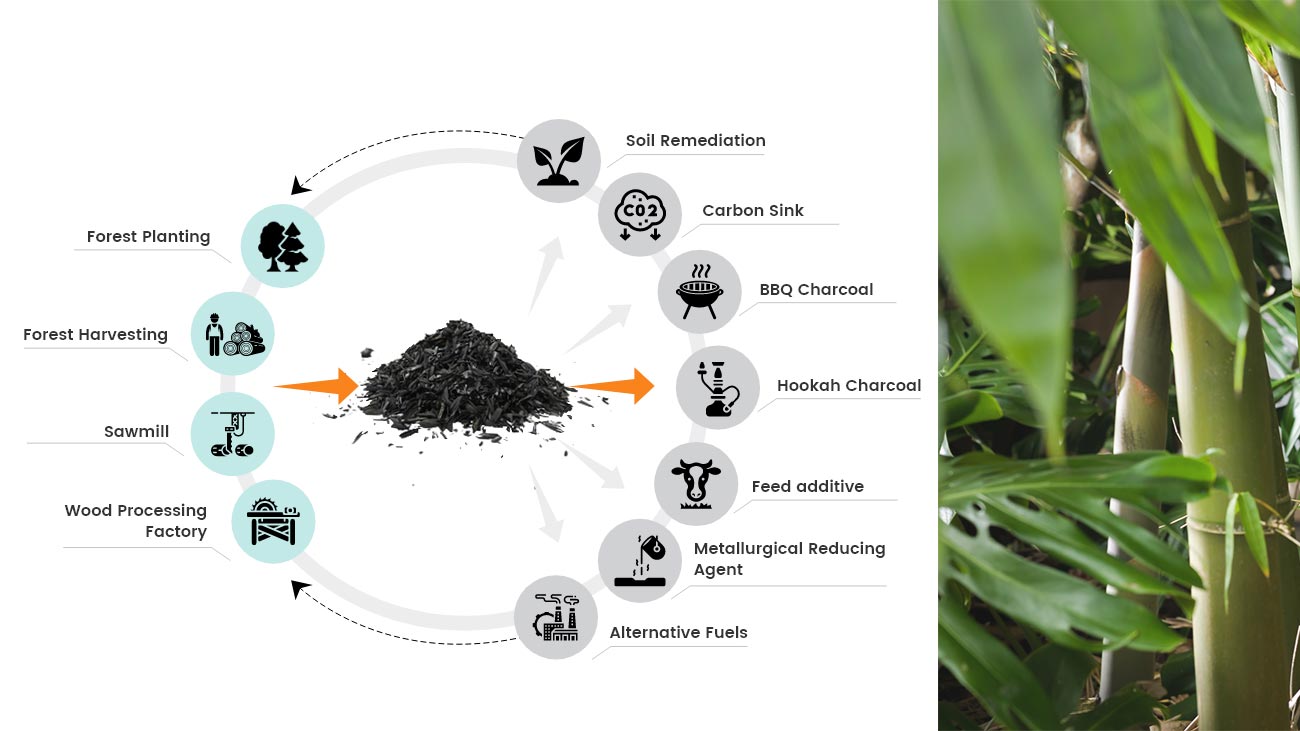 Applications of Bamboo Charcoal